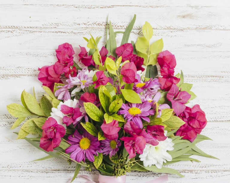 page artcile toujours fleur fleuriste albi