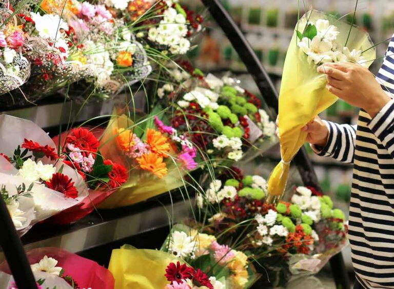 toujours fleur albi contre grande surface